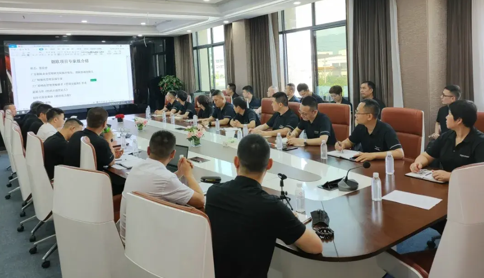 廣東BG電器企業(yè)經(jīng)營管理改善案例 廣州企業(yè)經(jīng)營管理